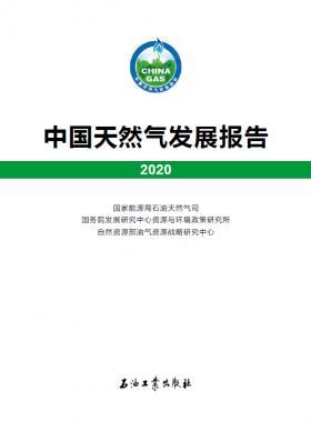 2020中國天然氣發(fā)展報告（含2017、2018、2019、2020）